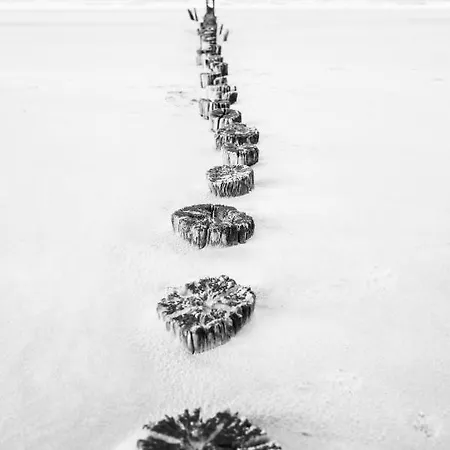 Huize Mare * Bergen aan Zee
