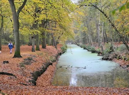 Appartement Huize Mare Bergen aan Zee