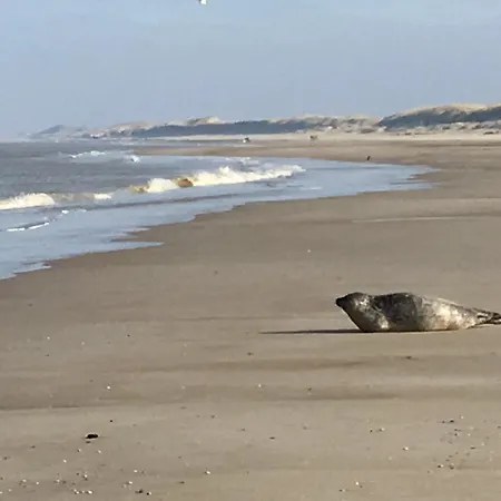 Appartement Huize Mare Bergen aan Zee