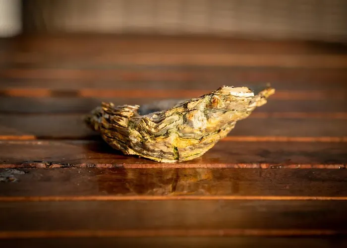 Lägenhet Huize Mare