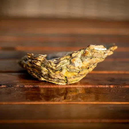 Apartment Huize Mare