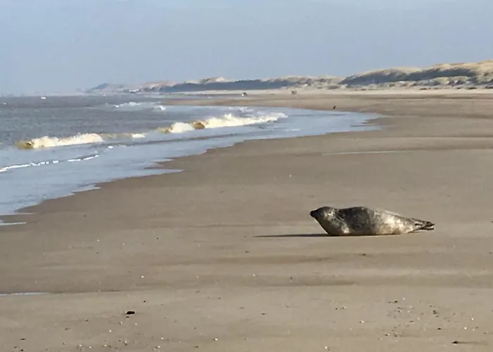 Апартаменты Huize Mare Берген ан Зее