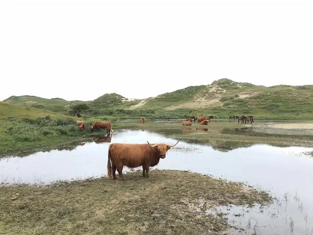 Апартаменты Huize Mare *