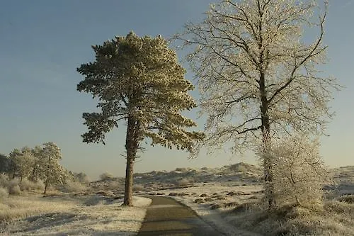 Huize Mare Берген ан Зее